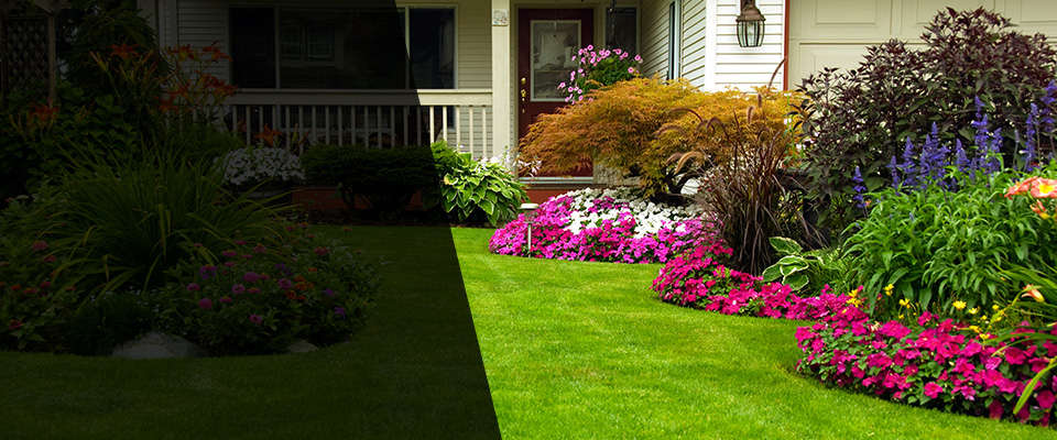 Danville Landscapers